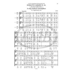 Choral Works For Mixed Voices : Extended and revised paperback edition