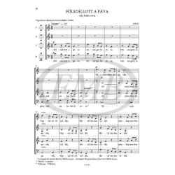 Choral Works For Mixed Voices : Extended and revised paperback edition