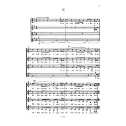 oszi kepek : Miniat'r ciklus n'i karra