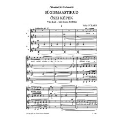 oszi kepek : Miniat'r ciklus n'i karra