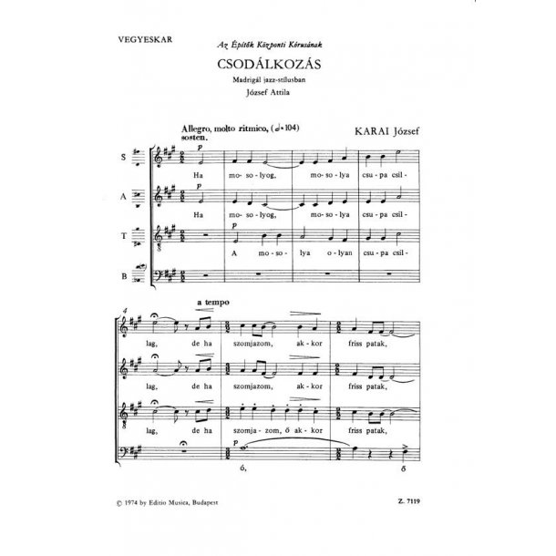 Csod&aacute;lkoz&aacute;s