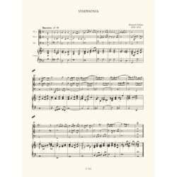 Werke des Fr&uuml;hbarock f&uuml;r Streicher Trios und Qua : Trios und Quartetten mit Continuo