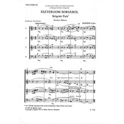 Esztergom sors&aacute;r&oacute;l