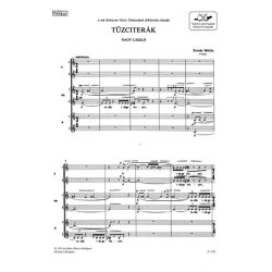 T&uuml;zciter&aacute;k