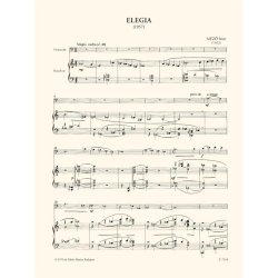 Elegie
