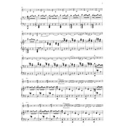 Danse macabre op. 40