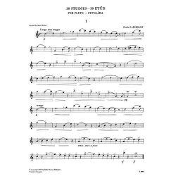 30 leichte und fortgeschrittene Et&uuml;den f&uuml;r Fl&ouml;te : 30 Easy and Progressive Studies for Flute
