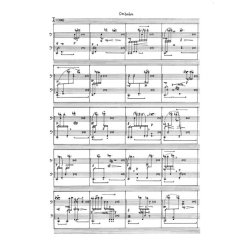 Mirror : f&uuml;r Zither und Cimbalom