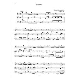 Flute Music for Beginners 2