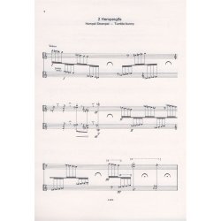 13 St&uuml;cke f&uuml;r 2 Cimbaloms aus Jatekok : aus J&aacute;t&eacute;kok'