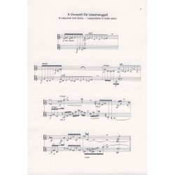 13 St&uuml;cke f&uuml;r 2 Cimbaloms aus Jatekok : aus J&aacute;t&eacute;kok'