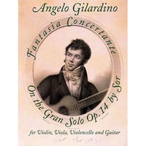 Fantasia Concertante on Fernando Sor op. 14