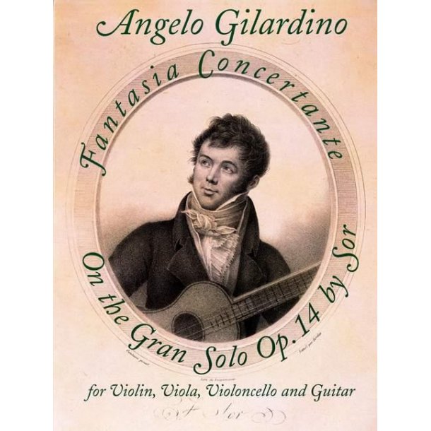 Fantasia Concertante on Fernando Sor op. 14