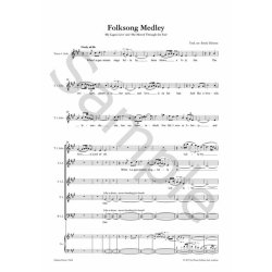 Folksong Medley : Voces8