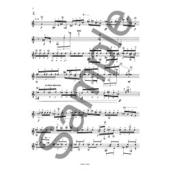 Anne Sedes: Piece N1