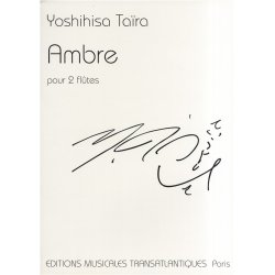 Yoshihisa Taira: Ambre