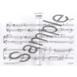 Yoshihisa Taira: Ambre