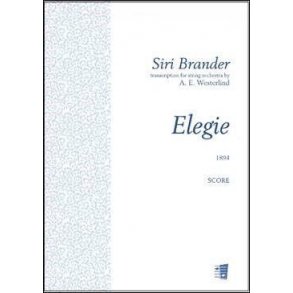 Elegie For String Orchestra