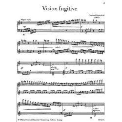 Rosenfeld, G.: Vision Fugitive