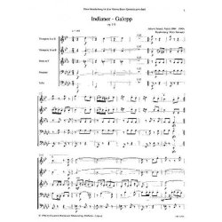 Strau, J. S.: Indianer-galopp