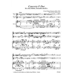 Telemann, G. F.: Concerto In F