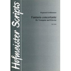 Goldhammer, S.: Fantasia Concertante