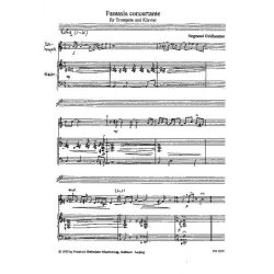 Goldhammer, S.: Fantasia Concertante