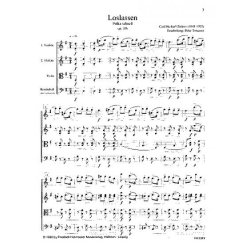 Ziehrer, C. M.: Loslassen Op 386