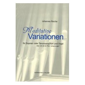 Reiche, J.: Meditative Variations On 