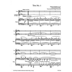 Trio No. 1, op. 8 : eingerichtet f&uuml;r Violine, Kontrabass und Klavier