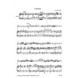 Concerto f&uuml;r Fagott und Orchester