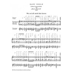 Gerle, H.: Die Tabulatur Book 2: 7 Lautenstucke, 1532