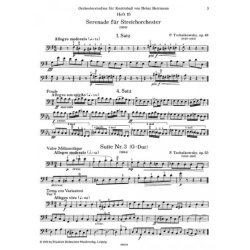Orchestral Studies - Tchaikovsky