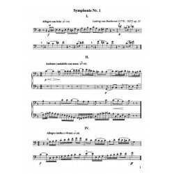 Orchestral Studies Book 3 - Beethoven, Weber, Auber