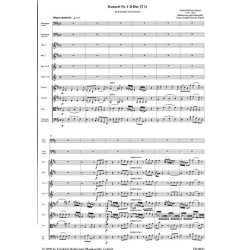 Konzert Nr. 1 f&uuml;r Kontrabass und Orchester