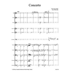 Concerto f&uuml;r Fagott und Orchester