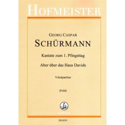 Kantate zum 1. Pfingsttag : Aber &uuml;ber das Haus Davids