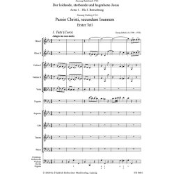 Johannes-Passion : "I. In sechs Teile gegliedert unter dem Titel ""Der leidende, sterbende und begrabene Jesus"""