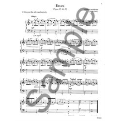 Marlais Succeed Masters Etudes 4 Bk