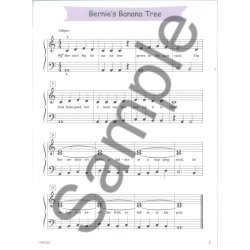 The Perfect Start For Solo Playing: Book 3