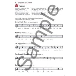 Dan Fox: Teach Yourself To Play Mandolin