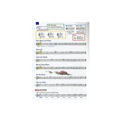 Accent On Achievement. Flute Book 1