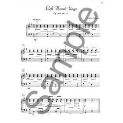 Palmer-Hughes Accordion Course - Book 2