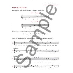 Roger Edison: Teach Yourself Guitar Theory