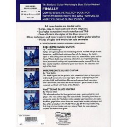 David Hamburger: Beginning Electric Blues Guitar