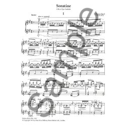 Frederic Chopin: Chopin Selected Favorites For The Piano