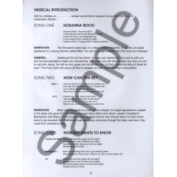 Sheila Wilson: Hosanna Rock! (Pupil's Book)