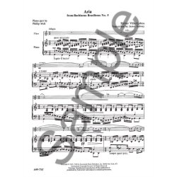 Heitor Villa-Lobos: Aria From Bachianas Brasileiras No. 5 (Flute)