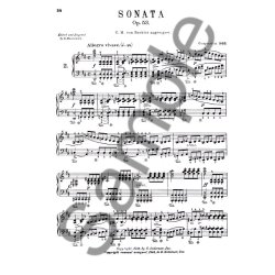 Franz Schubert: Sonatas For The Piano