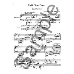 Johannes Brahms: Piano Works Volume 2 (Sauer)